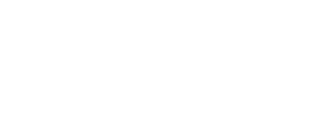 BDO Logo