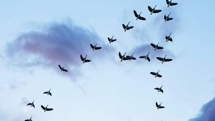 Mezzana Partners Podcast: ‘Leadership in a Hybrid World’ with Simon Grosse, CEO 